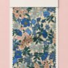 cef31c96-81c2-4d9f-b78f-24ae1de10f62 Belle - Blue Spring